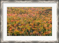 Framed New Hampshire, White Mountains, Autumn