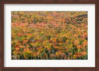 Framed New Hampshire, White Mountains, Autumn