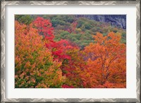 Framed Bemis Falls Trail, Crawford Notch State Park, New Hampshire