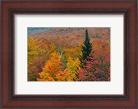 Framed Autumn at Flume Area, Franconia Notch State Park, New Hampshire