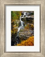 Framed Autumn at Silver Cascade, Crawford Notch SP, New Hampshire