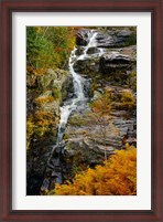 Framed Autumn at Silver Cascade, Crawford Notch SP, New Hampshire