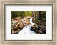 Framed Autumn on Pemigewasset River, Franconia Notch SP, New Hampshire