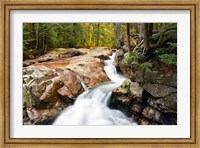 Framed Autumn on Pemigewasset River, Franconia Notch SP, New Hampshire