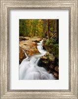 Framed Pemigewasset River in Franconia Notch State Park, New Hampshire