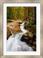 Framed Pemigewasset River in Franconia Notch State Park, New Hampshire