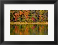 Framed Reflected autumn colors at Echo Lake State Park, New Hampshire