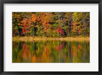 Framed Reflected autumn colors at Echo Lake State Park, New Hampshire