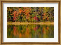 Framed Reflected autumn colors at Echo Lake State Park, New Hampshire