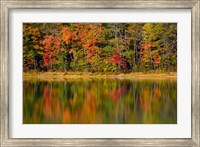 Framed Reflected autumn colors at Echo Lake State Park, New Hampshire