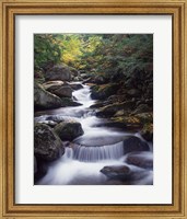 Framed Gordon Water Falls, Appalachia, White Mountains, New Hampshire
