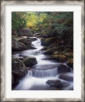 Framed Gordon Water Falls, Appalachia, White Mountains, New Hampshire