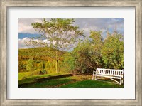 Framed New Hampshire, Sugar Hill, Bench