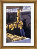 Framed Market on Cours Saleya, Old Town Nice, France