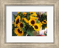 Framed Market Sunflowers, Nice, France