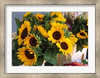 Framed Market Sunflowers, Nice, France