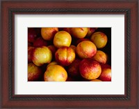 Framed Plums at an Outdoor Market, Nice, France