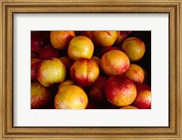 Framed Plums at an Outdoor Market, Nice, France