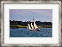 Framed Sailing in Newport, Rhode Island