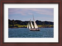 Framed Sailing in Newport, Rhode Island