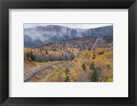 Framed New Hampshire, White Mountains, Bretton Woods, Mount Washington Cog Railway trestle