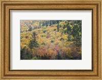 Framed New Hampshire, White Mountains, Crawford Notch, fall foliage by Mount Washington