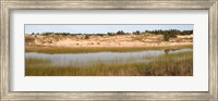 Framed Sand Dunes and Marsh, Michigan