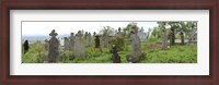 Framed View of Cemetery, Bradu, Arges County, Romania