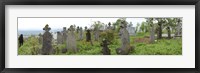 Framed View of Cemetery, Bradu, Arges County, Romania