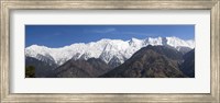 Framed Dhauladhar Mountain Range, India