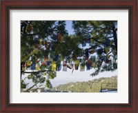 Framed Prayer Flags, Upper Dharamsala, Himachal Pradesh, India