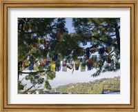 Framed Prayer Flags, Upper Dharamsala, Himachal Pradesh, India