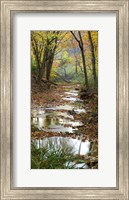 Framed Autumn at Schuster Hollow in Grant County, Wisconsin
