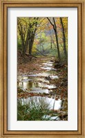 Framed Autumn at Schuster Hollow in Grant County, Wisconsin