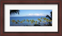 Framed Palm Trees on the Beach, Maui, Hawaii