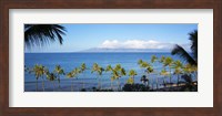 Framed Palm Trees on the Beach, Maui, Hawaii