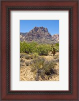 Framed Red Rock Canyon National Conservation Area, Las Vegas, Nevada