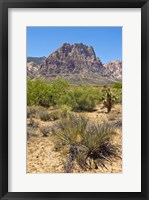 Framed Red Rock Canyon National Conservation Area, Las Vegas, Nevada