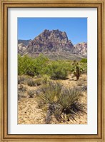 Framed Red Rock Canyon National Conservation Area, Las Vegas, Nevada