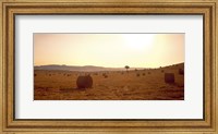 Framed Hay Bales, Tuscany, Italy