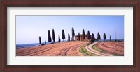 Framed Trees on a Hill, Tuscany, Italy