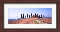 Framed Trees on a Hill, Tuscany, Italy