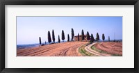 Framed Trees on a Hill, Tuscany, Italy