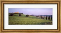 Framed Tree Line, Tuscany, Italy