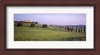 Framed Tree Line, Tuscany, Italy