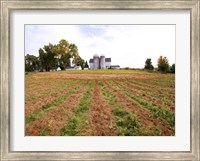 Framed Barn and Silo, Colts Neck Township, New Jersey