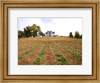 Framed Barn and Silo, Colts Neck Township, New Jersey