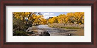 Framed Rio Grande River, Pilar, New Mexico
