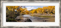 Framed Rio Grande River, Pilar, New Mexico