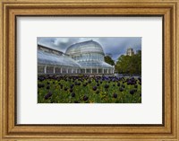 Framed Palm House in the Botanic Gardens, Northern Ireland